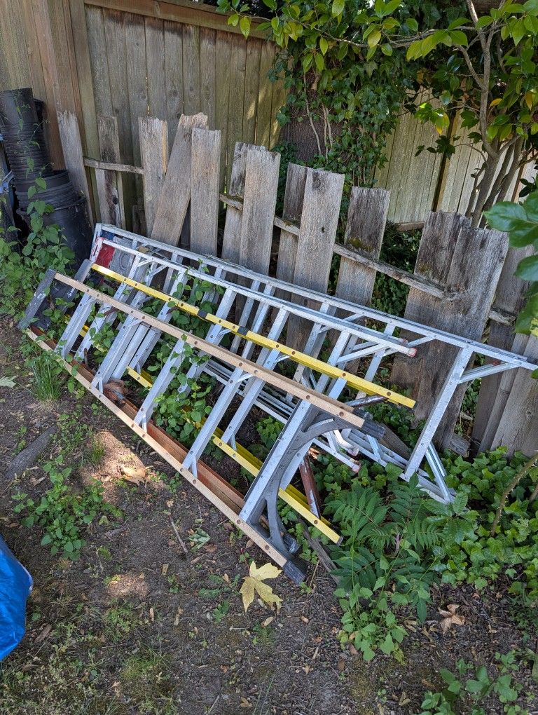 3 - 6' ladders, 1 - 8' ladder