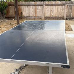 Ping Pong Table