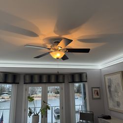 Ceiling fan