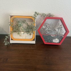 2 New Wall Plants Decorating 