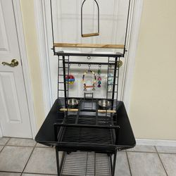 Bird Stand 