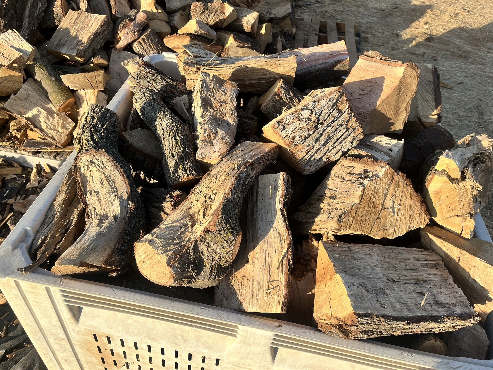Firewood