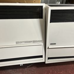 Direct Vent Wall Heaters 