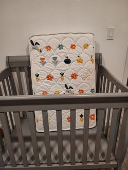 Crib/ cuna,  with mattress
