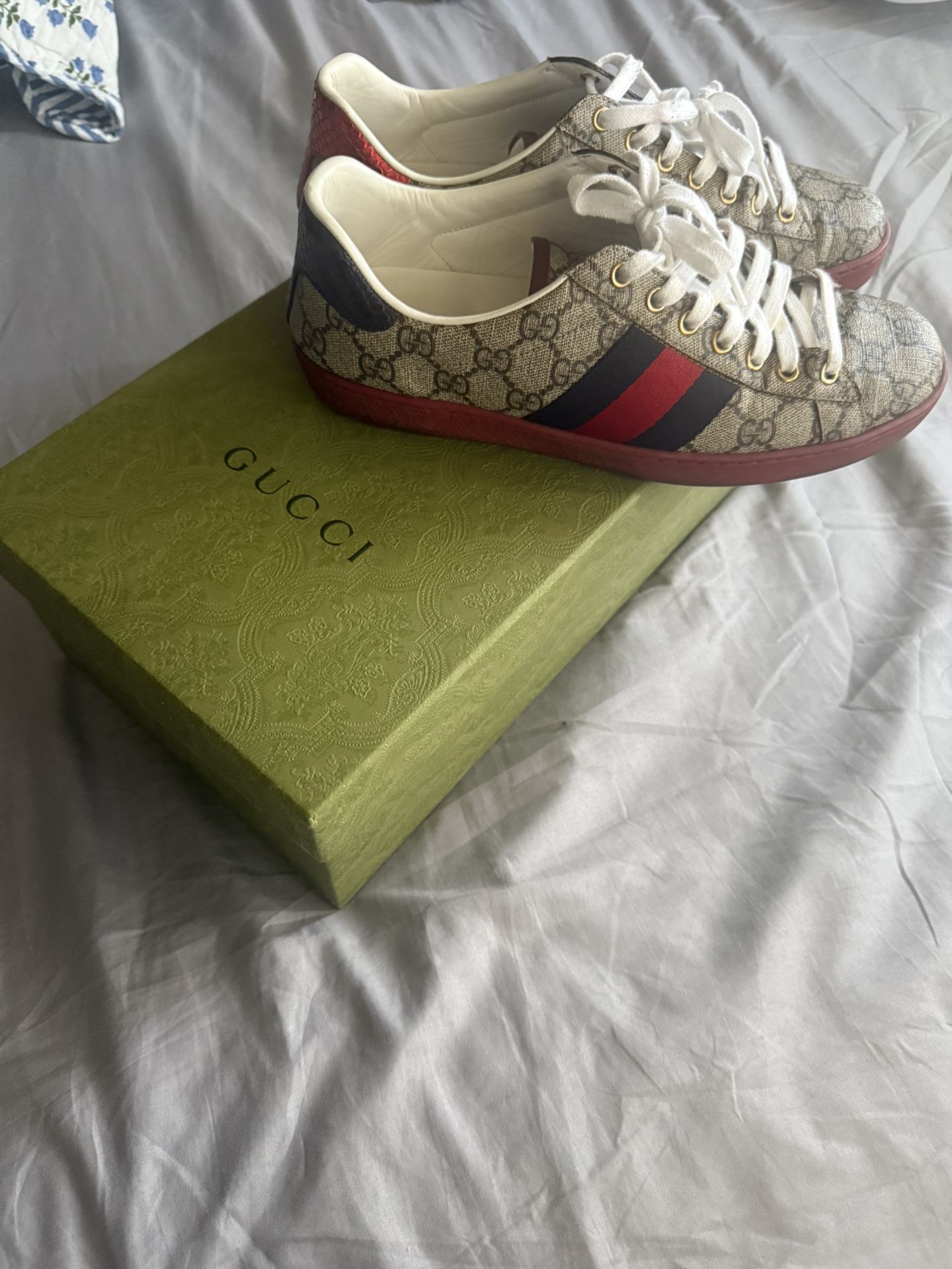 Gucci Shoes 