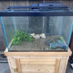   60 gallon tank & More