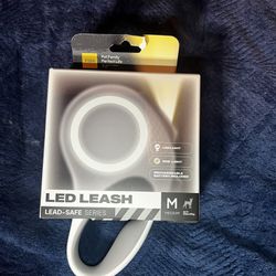 Medium Fida LED Retractable Leash