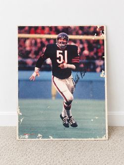 Chicago Bears #51 Signed NFL Photo Print