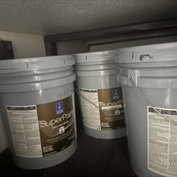 Dark Gray Paint