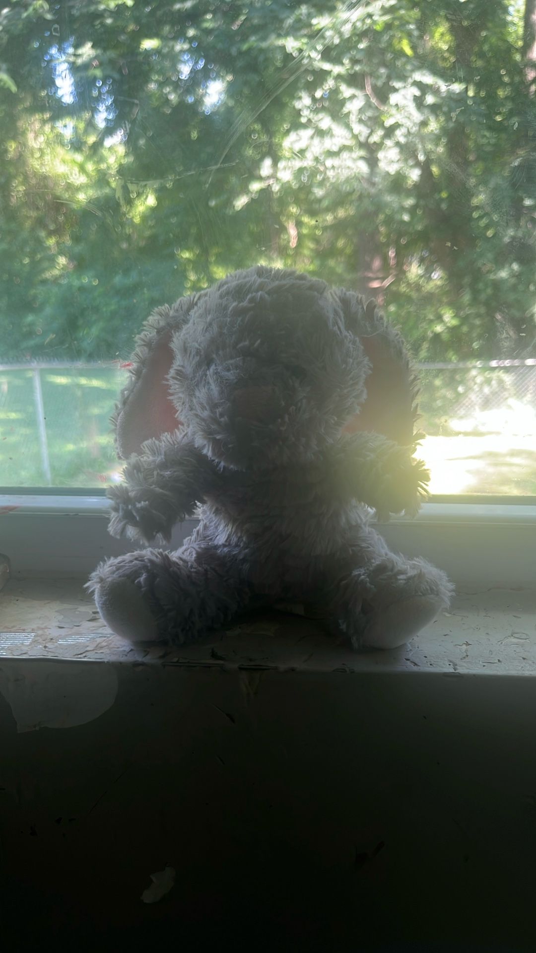 Jelly Cat For 32$