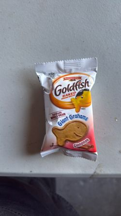 Goldfish graham cookies
