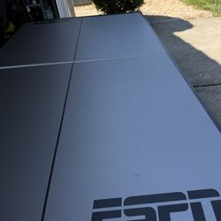 ESPN Pingpong Table