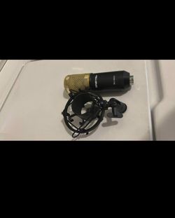 Zingyou Microphone