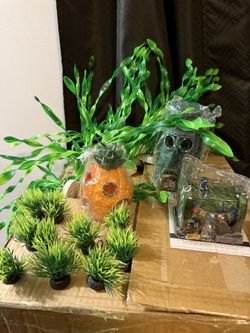 Fish Decor