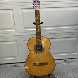 Guipar Acoustic Guitar