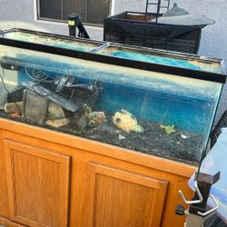 Fish tank