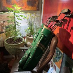 Vintage Golf Club Set With Bag