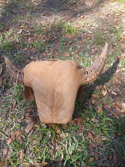 Whicker and ratton Vintage steer basket