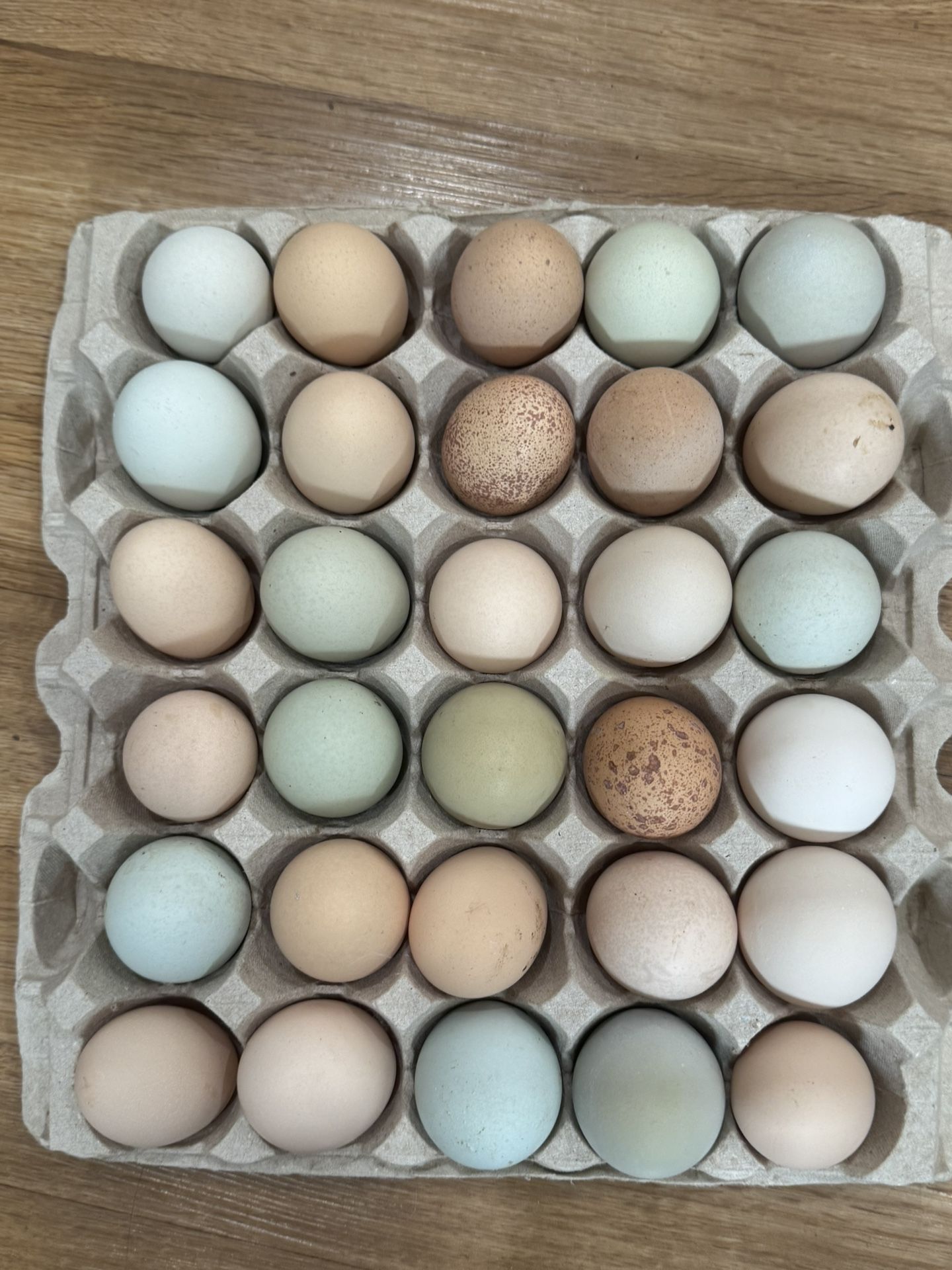 Farm Fresh, Pasture Raised Organic Eggs 