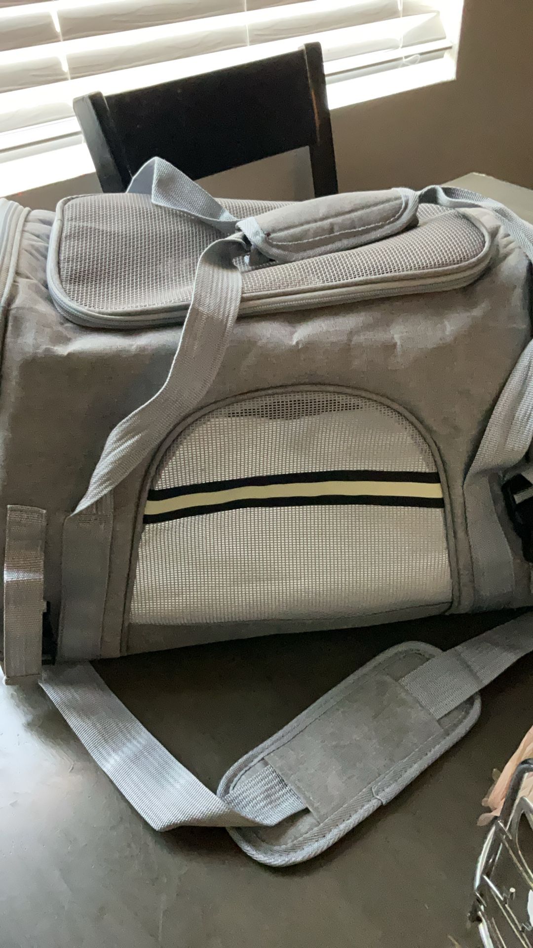 Dog/cat Carrier