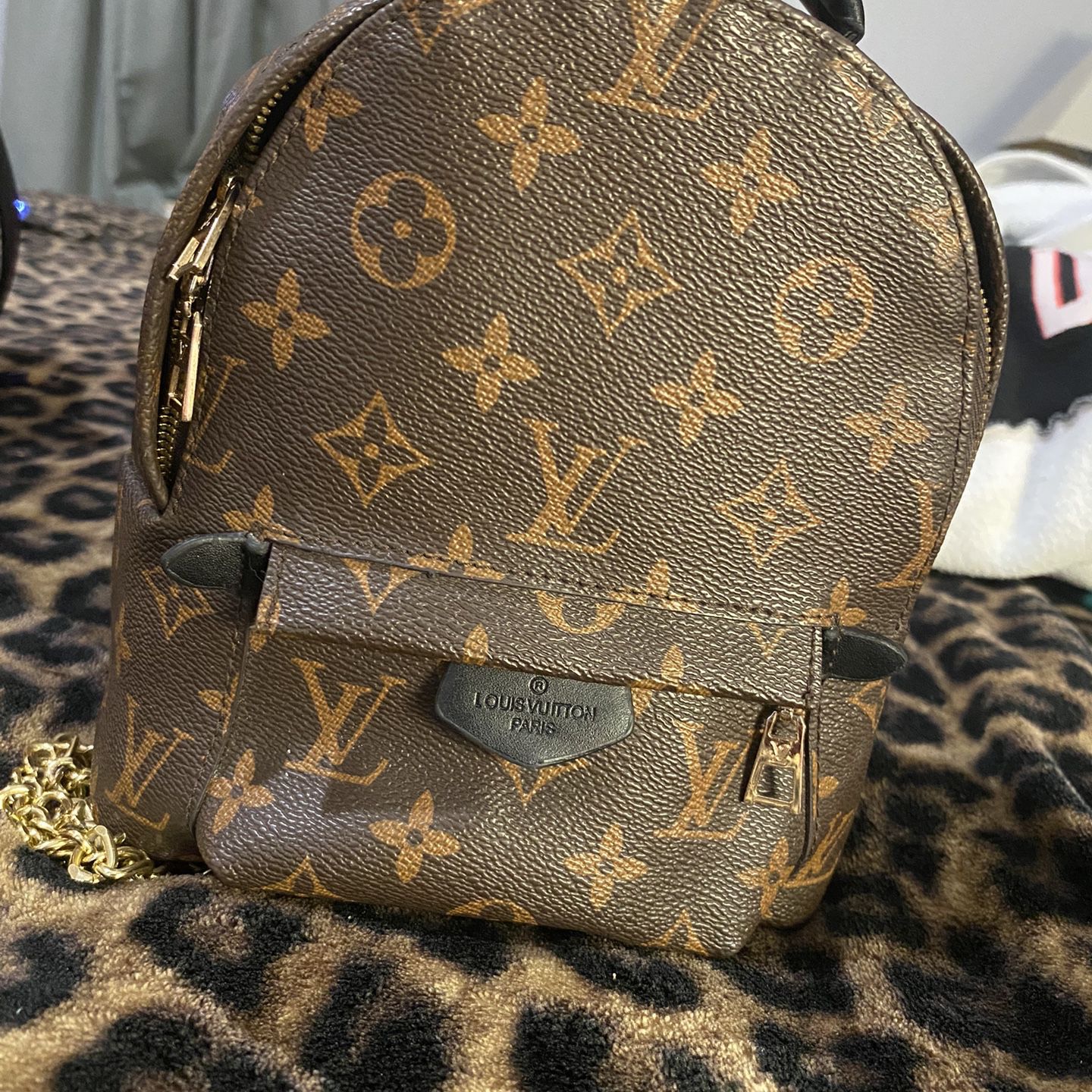 Louis Vuitton Mini Palm Springs MM Backpack 