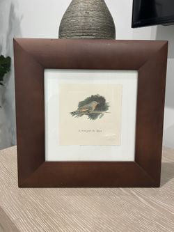 Bird Art By Isabelle DeBorchgrave   Price Just Reduced