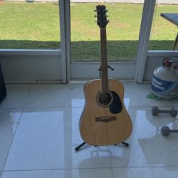 Mitchell Guitar