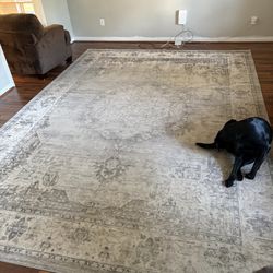 Living Room Rug