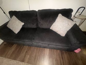 2 Seat  Couch $250 OBO