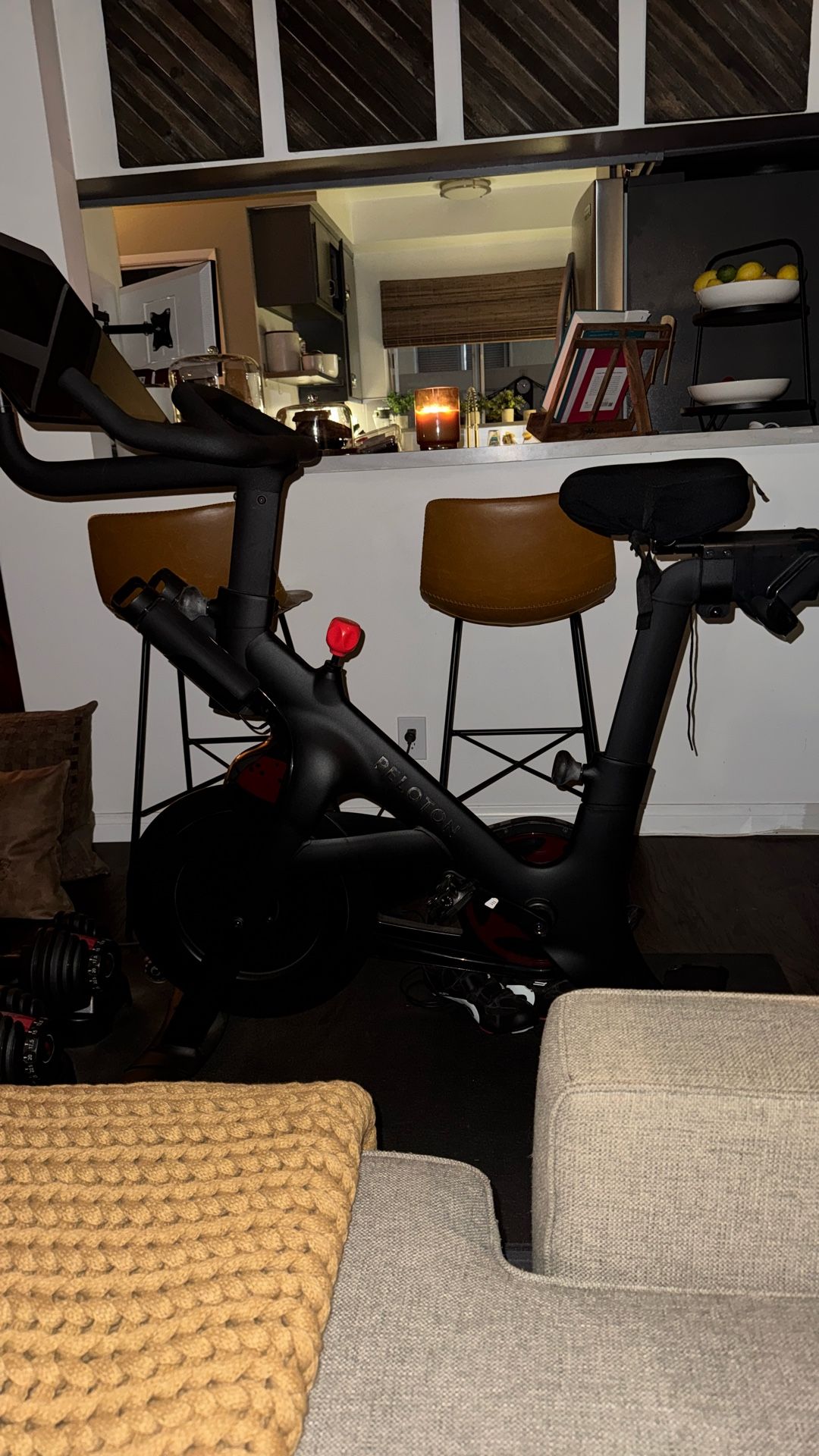 Pelearon Plus Bike! And bowflex weights