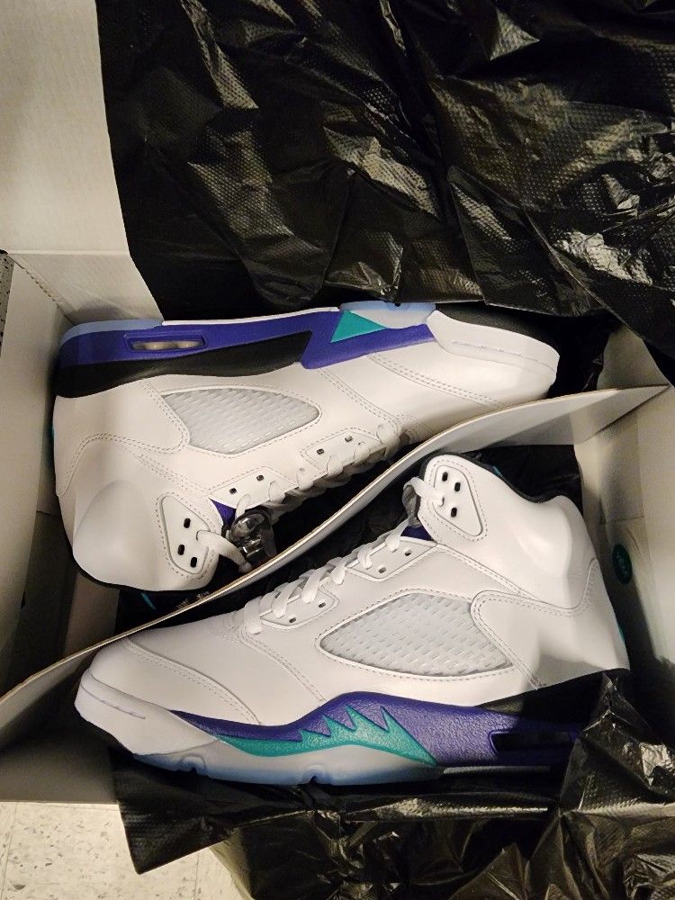 BRAND NEW JORDAN 5 GRAPES SIZE 9.5 (225.00)