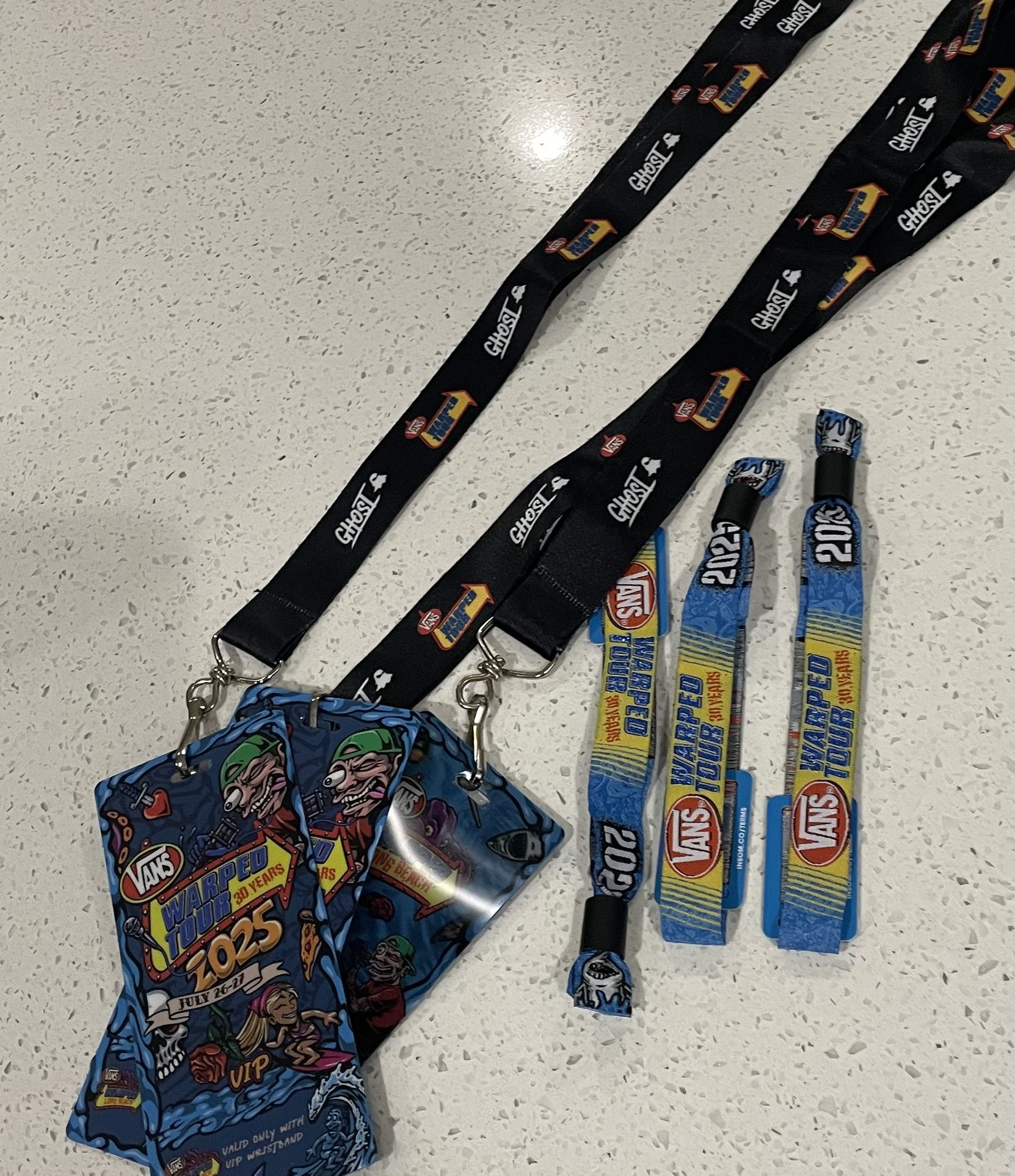 $250 VIP Wristbands For Warped Tour In Long Beach
