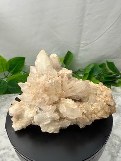 Rare Clear Quartz Cluster