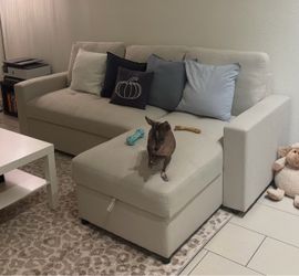 Beige Sectional Sofa with Chaise Storage and Pull Out