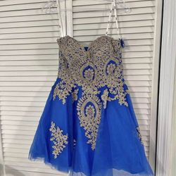 Royal Blue Quinceañera Dress/Homecoming 