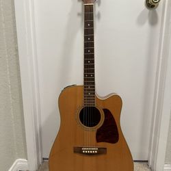 Acoustic Guitar 