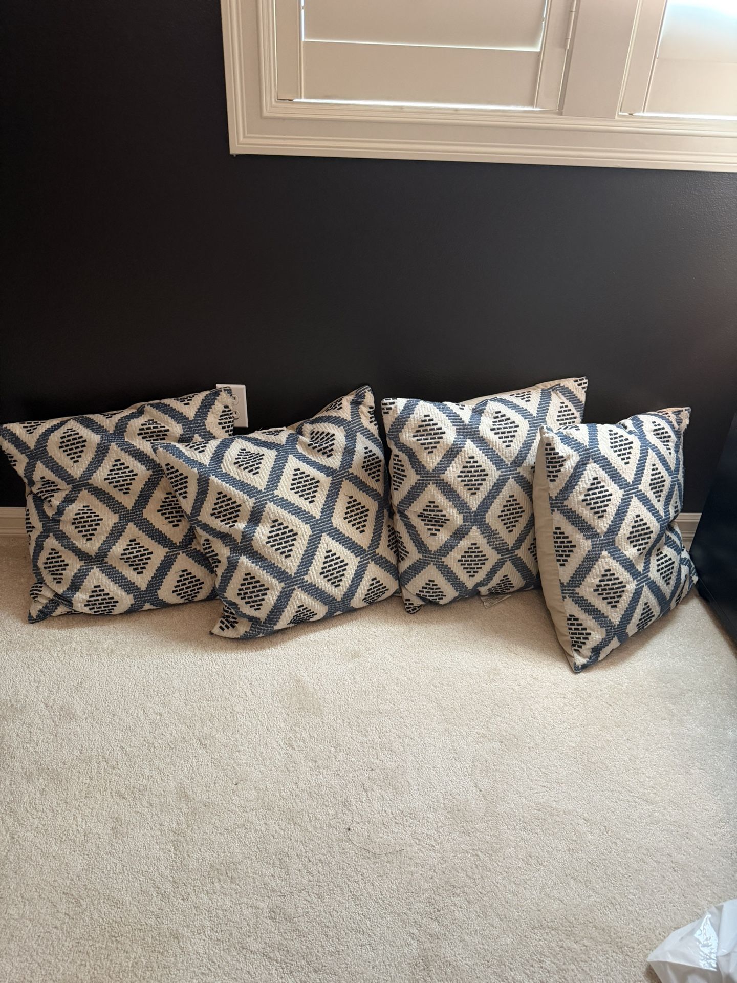 4 Large Throw Pillows