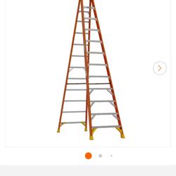 12 Foot Ladder 