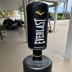 EverLast Punching Bag