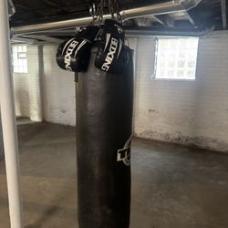 Tittle Punching Bag 75Lbs