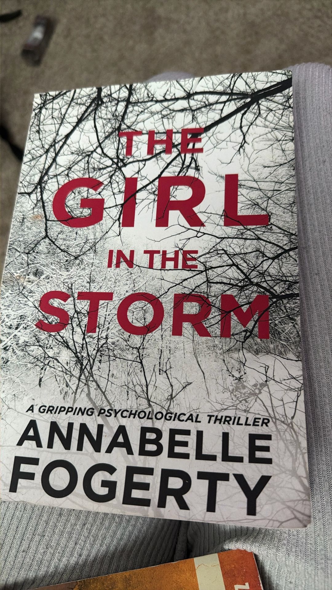 The Girl In The Storm 