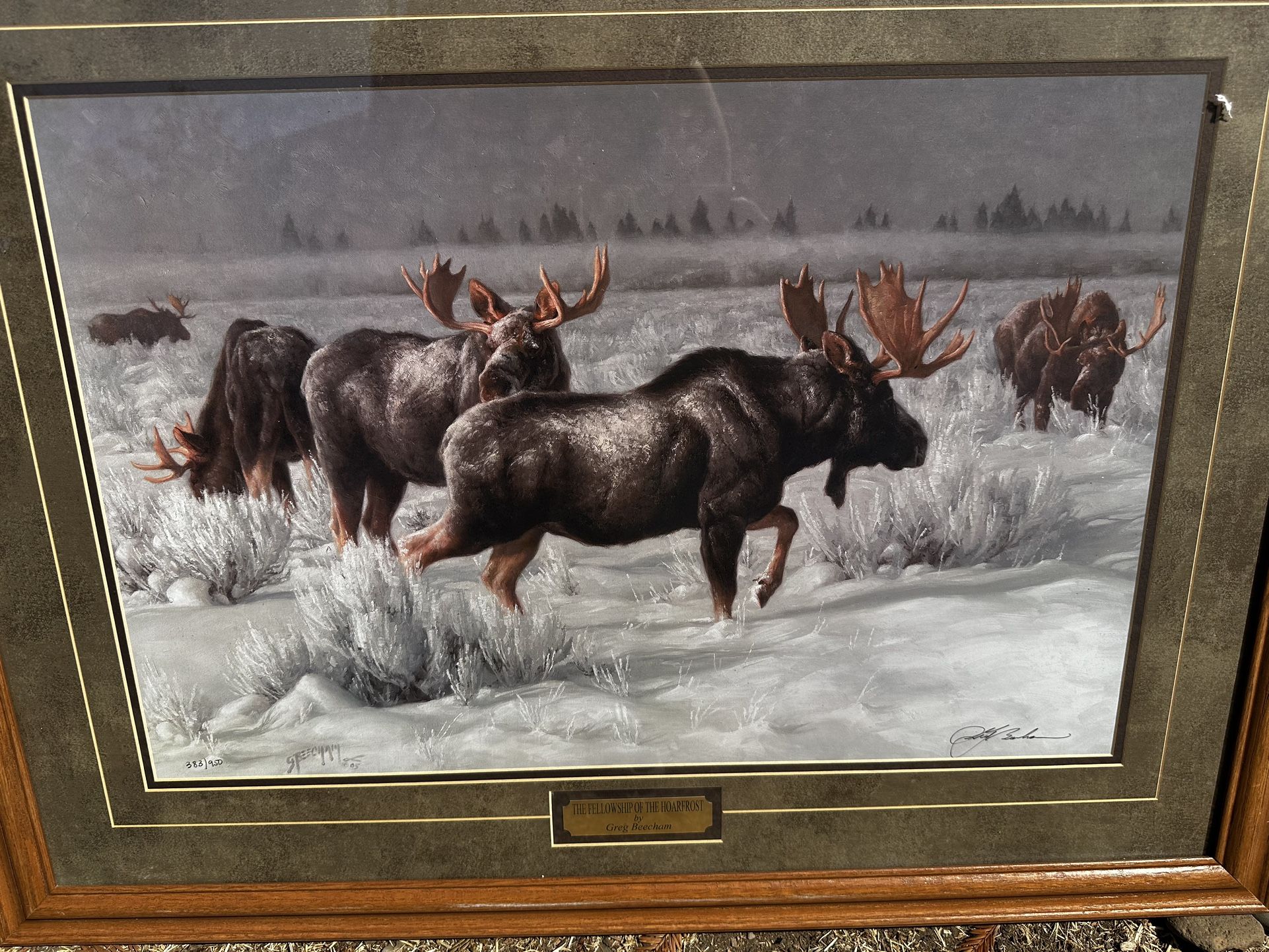 The Fellowship of the Hoarfrost Framed Print