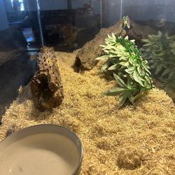 Aquarium-Snake tank-heat Lamp-cover