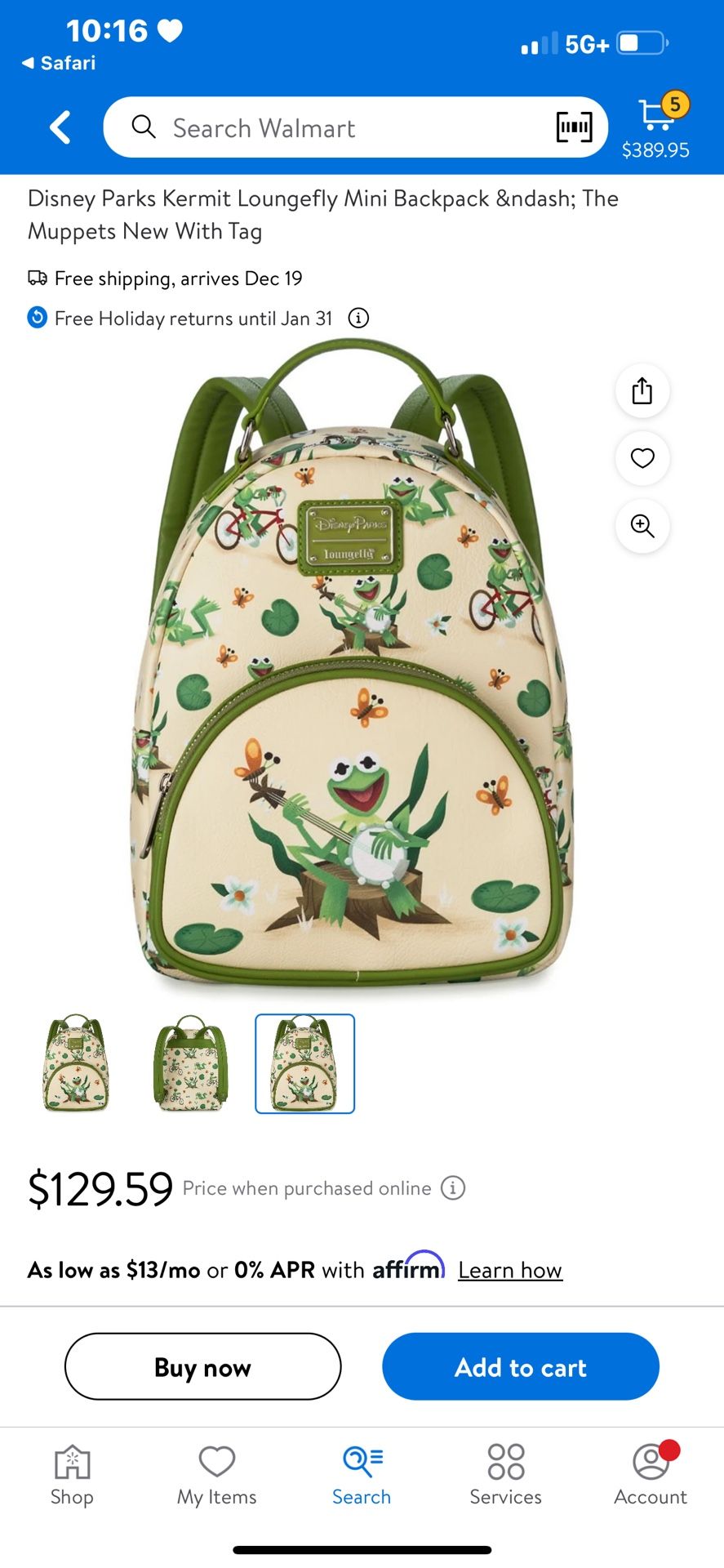 Disney Park Backpack