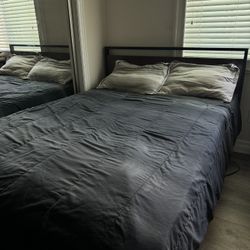 Bed
