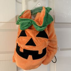 JACK O LANTERN PET COSTUME SMALL