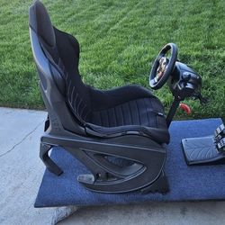 Playstation 3 Driving Simulator  Bundle 