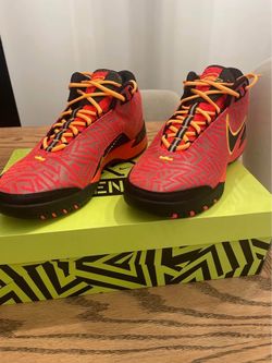 Nike LeBron Basketball Sneakers