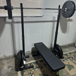 Portable Gym Set With Bumper Plates