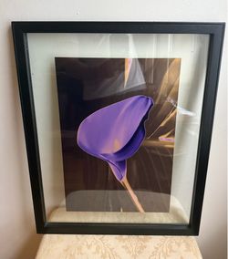 Pair of Framed Calla Lily Fine Art Prints by Judith Anderson - 16x20 Floating Frames